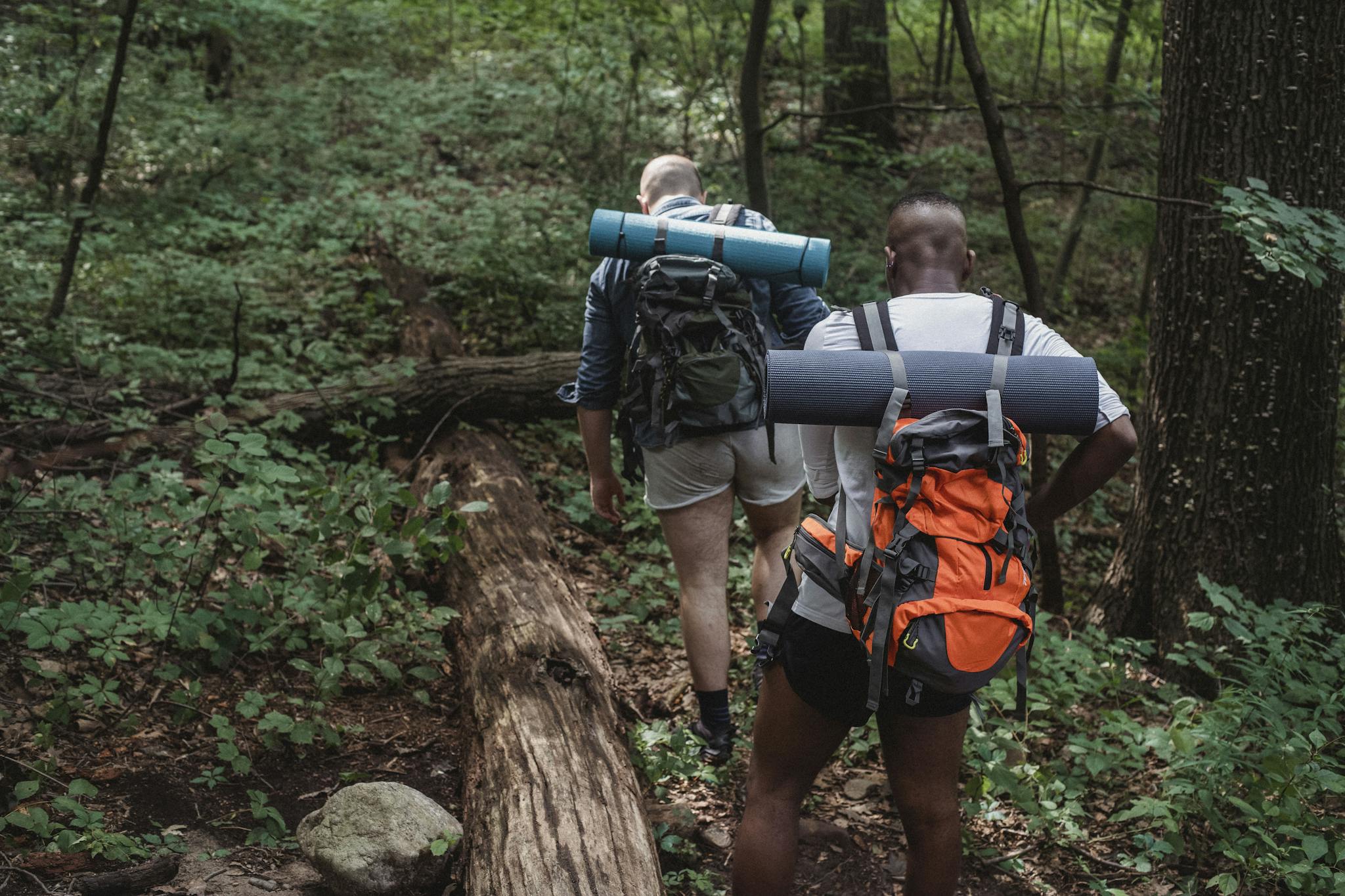 Full body back view of anonymous multiethnic adventurers in casual clothing with backpacks walking on ground covered with grass in woodland in daylight