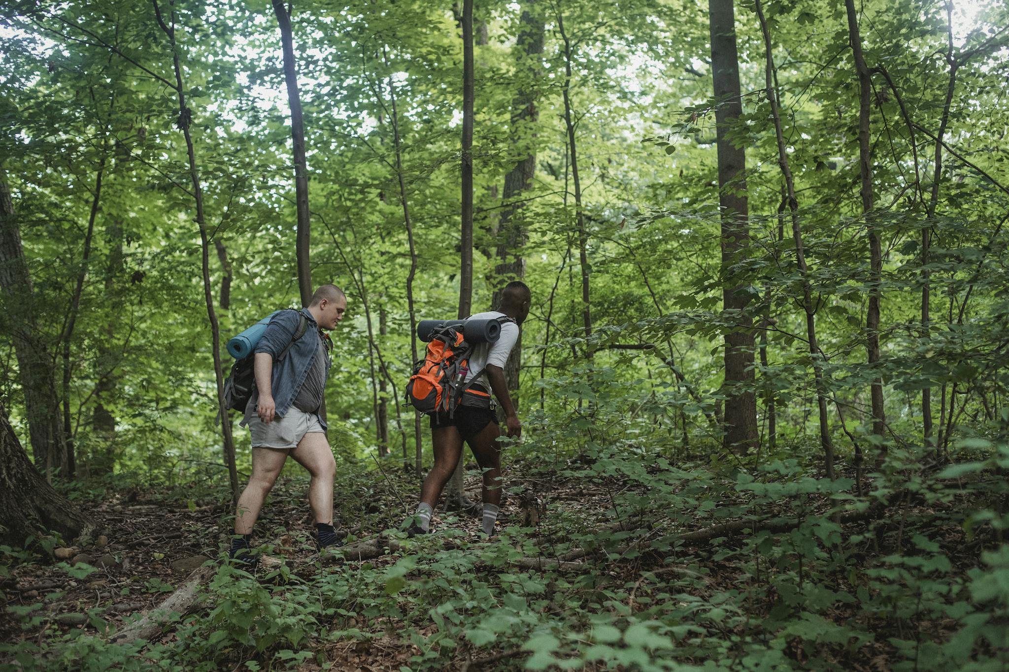 Trekking Trails in Uttarakhand: A Journey to the Heart of the Himalayas